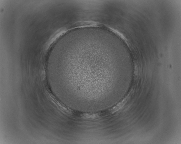 X0000072551407200607211347