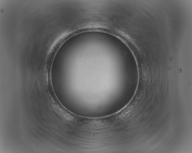 X0000072551408200607211348