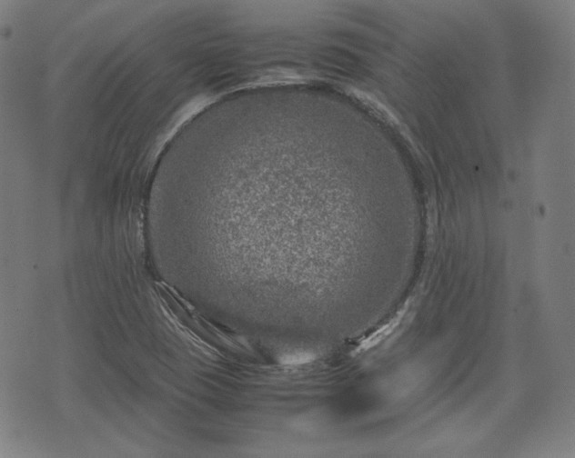 X0000072551409200607211348