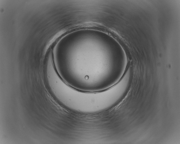 X0000072551410200607211348