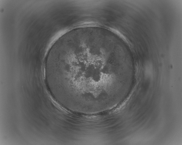 X0000072551413200607211348