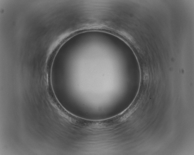 X0000072551414200607211348