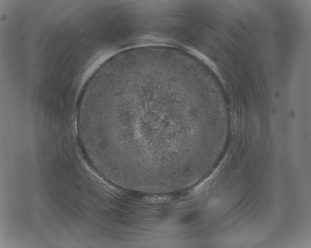 X0000072551415200607211348