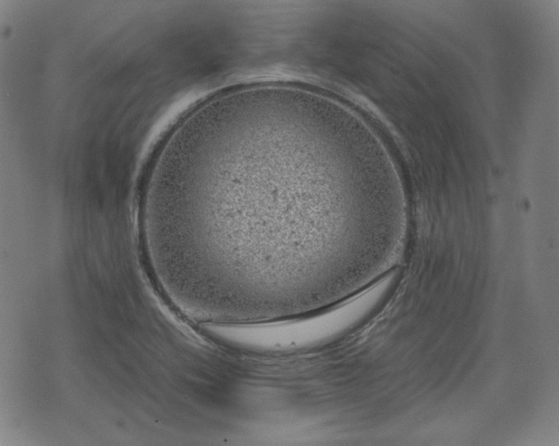 X0000072551416200607211348