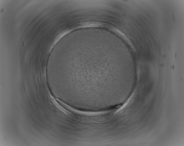 X0000072551417200607211348