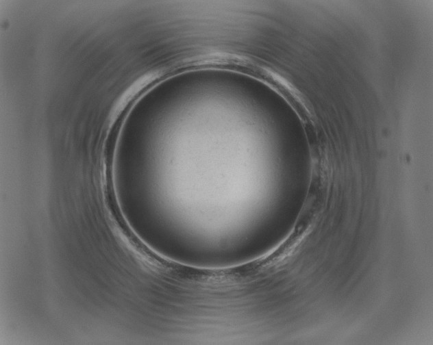 X0000072551418200607211348