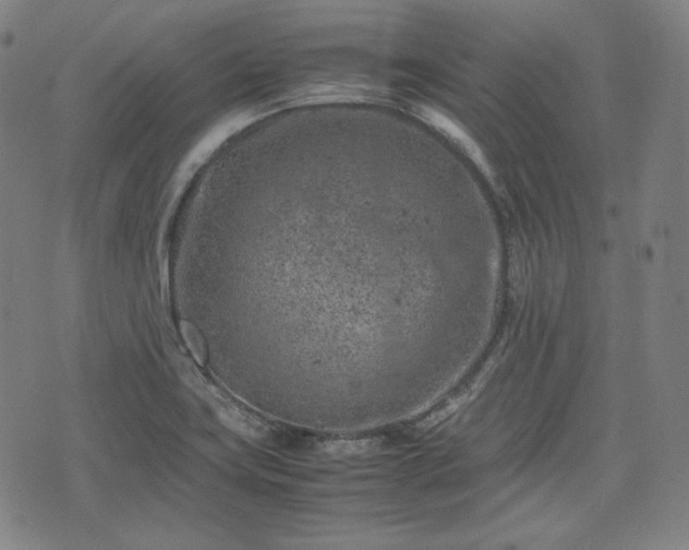 X0000072551419200607211348