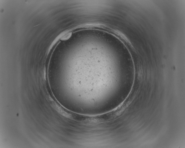 X0000072551420200607211348