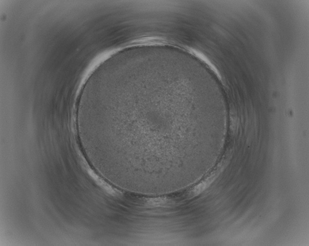 X0000072551421200607211348