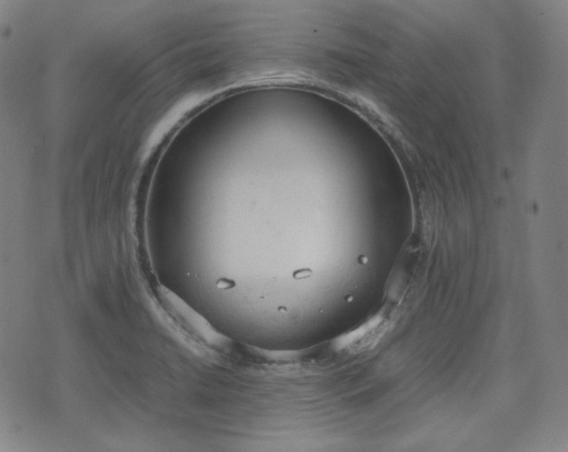 X0000072551422200607211348