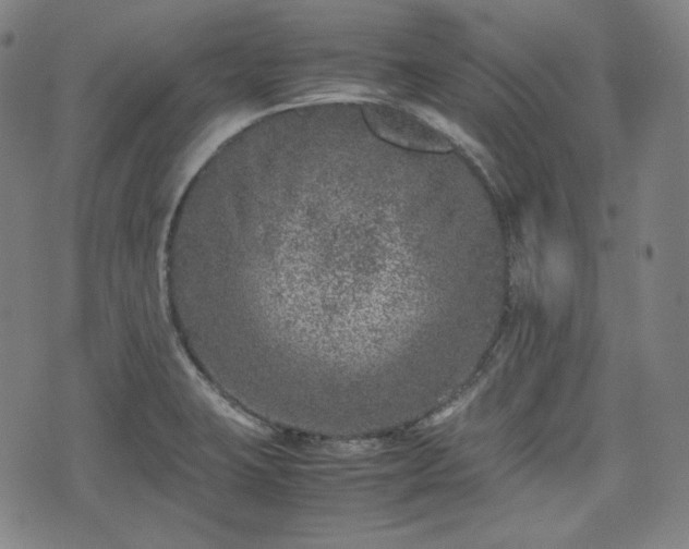 X0000072551423200607211348