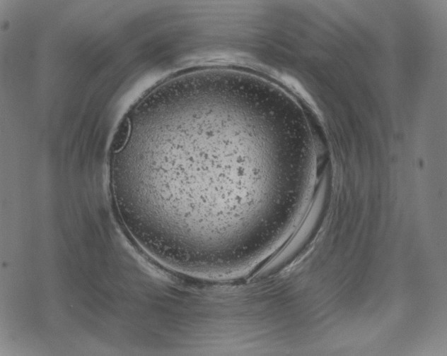 X0000072551424200607211348