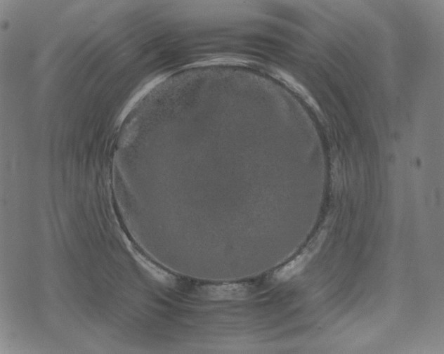 X0000072551425200607211348