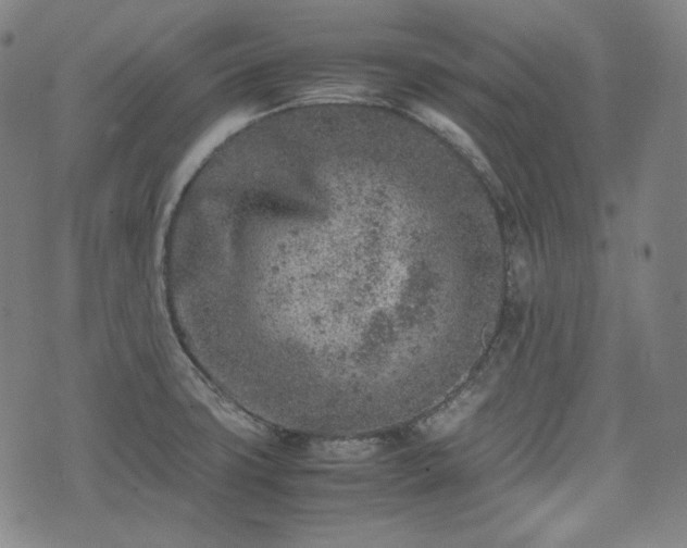 X0000072551427200607211348