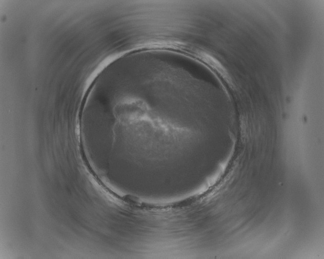 X0000072551428200607211348