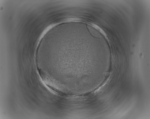 X0000072551429200607211348