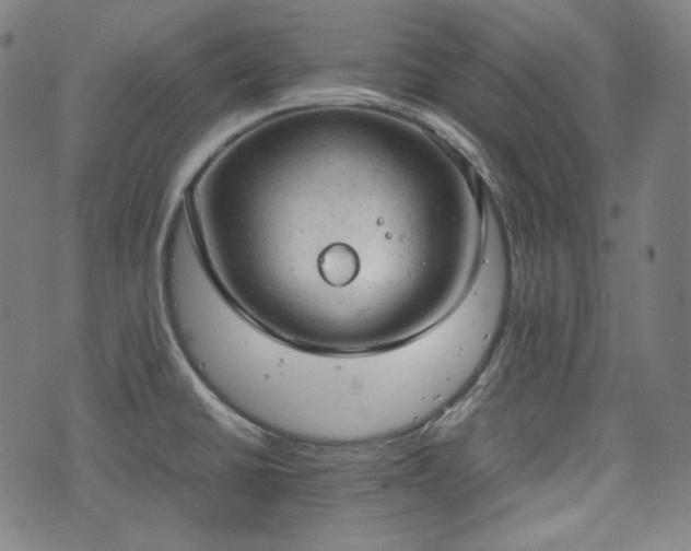 X0000072551430200607211348