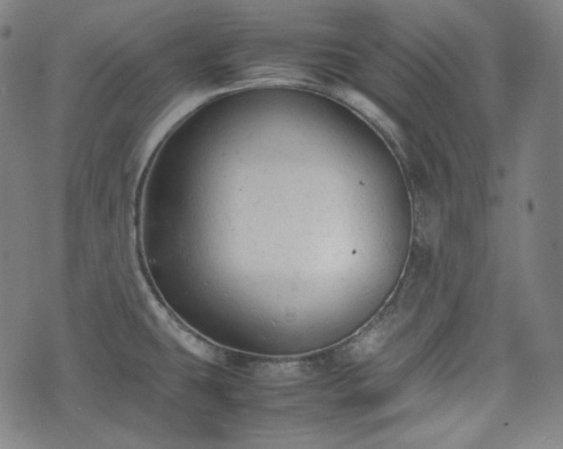 X0000072551431200607211348