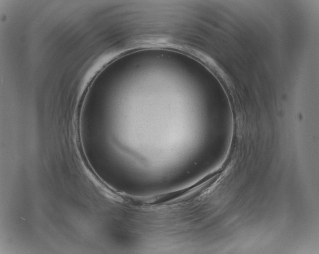 X0000072551432200607211348