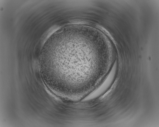 X0000072551433200607211348