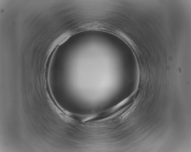 X0000072551434200607211348