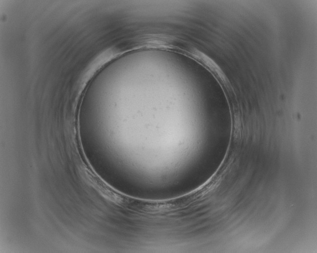 X0000072551435200607211348