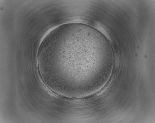 X0000072551436200607211348