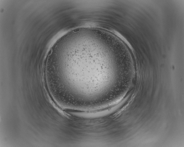 X0000072551437200607211348