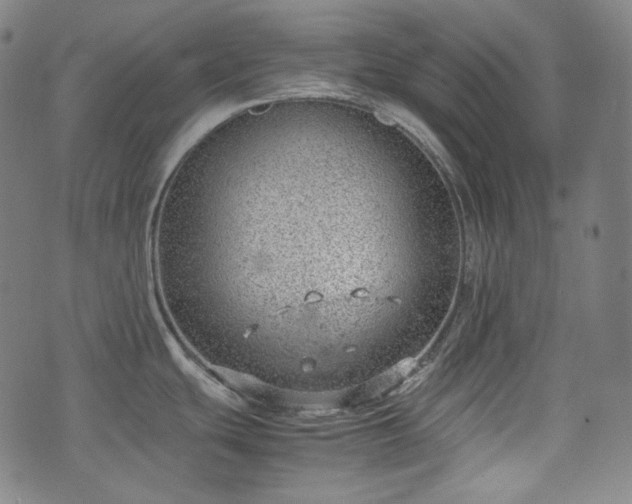 X0000072551439200607211348