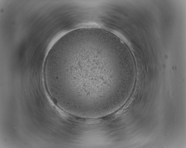 X0000072551440200607211348