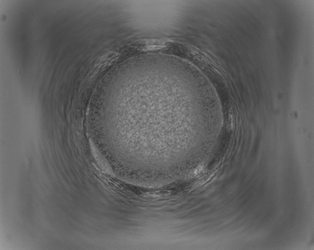 X0000072551441200607211347