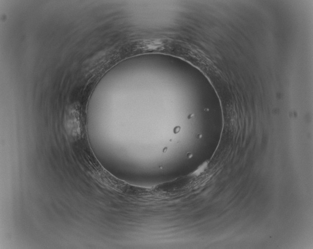 X0000072551442200607211347