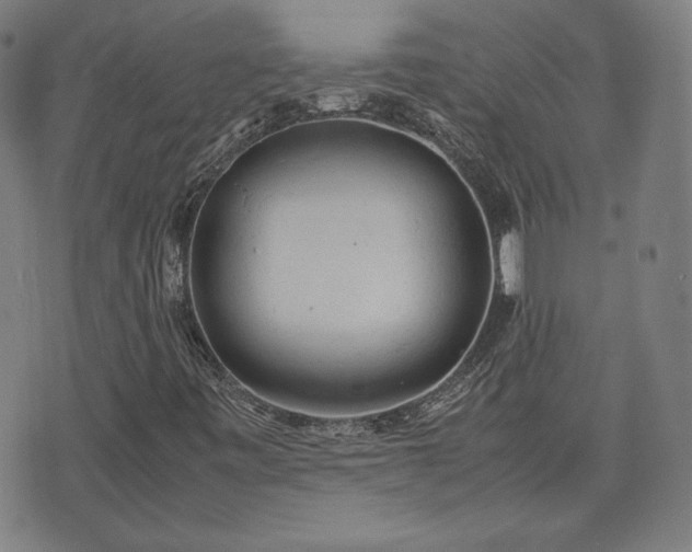 X0000072551443200607211347