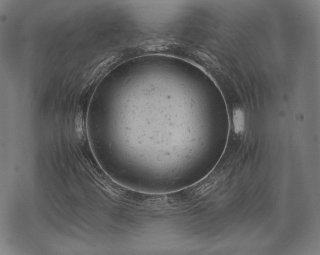 X0000072551444200607211347