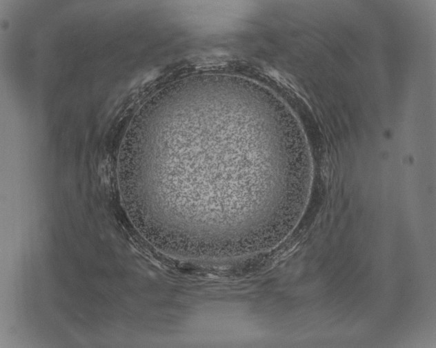 X0000072551445200607211347