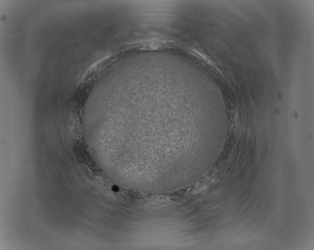 X0000072551446200607211347