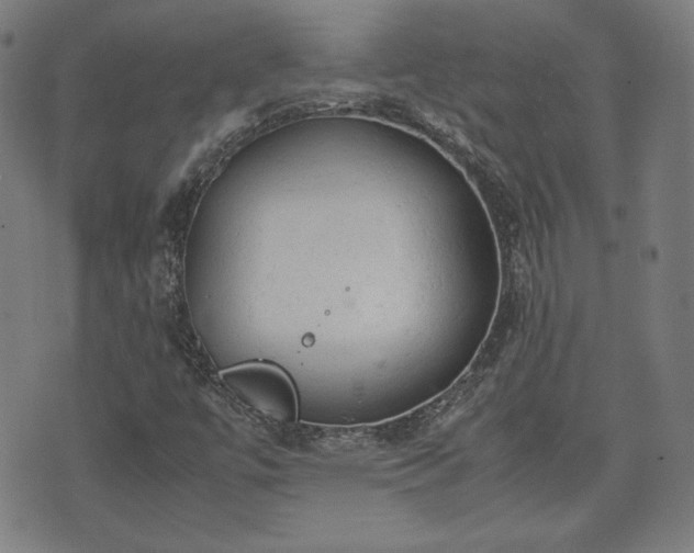 X0000072551447200607211347