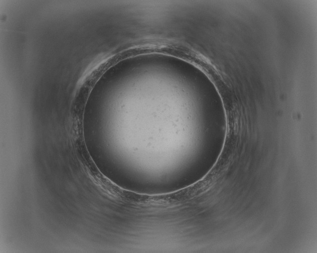 X0000072551448200607211347