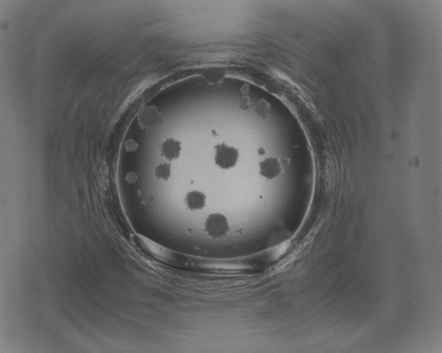 X0000072551449200607211347