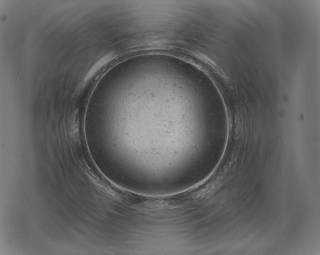 X0000072551450200607211347