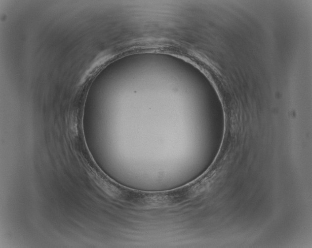 X0000072551451200607211347