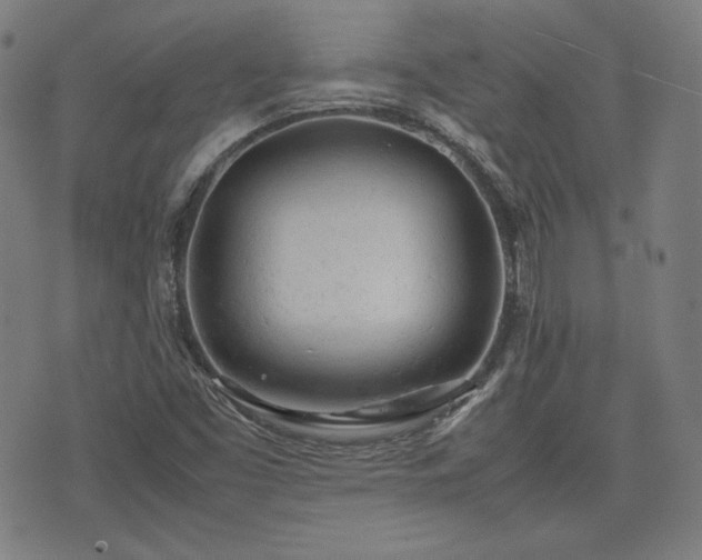 X0000072551453200607211347