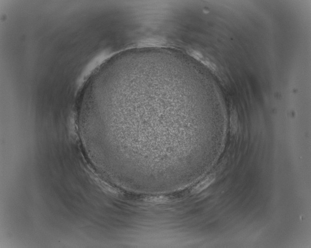 X0000072551454200607211347