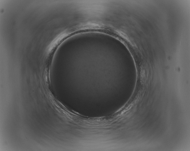 X0000072551455200607211347