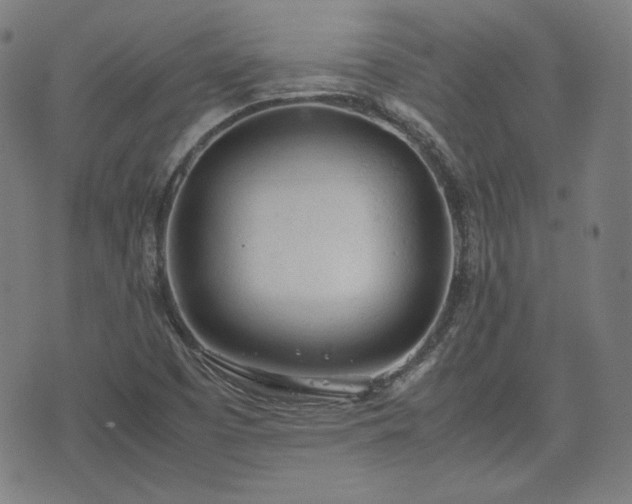 X0000072551457200607211347