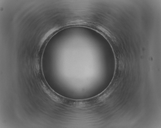 X0000072551458200607211347