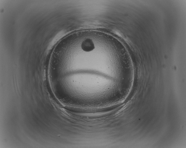 X0000072551459200607211347