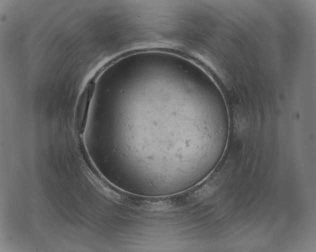 X0000072551460200607211347