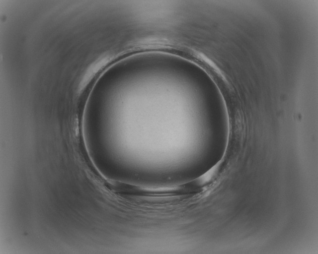 X0000072551461200607211347