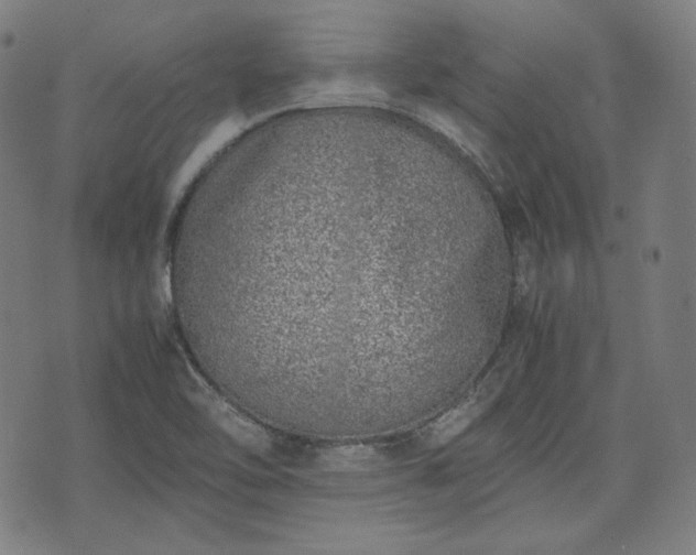 X0000072551462200607211347